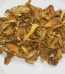 Buy Iboga Root Bark Online