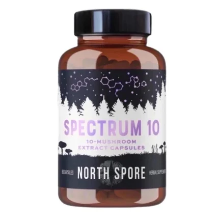 Multi-Mushroom Capsules